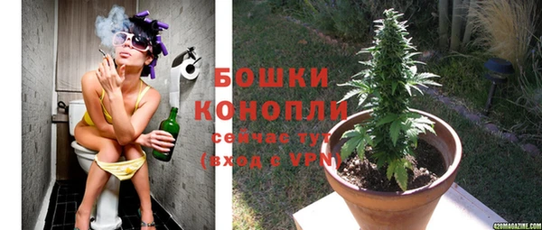 скорость Краснослободск