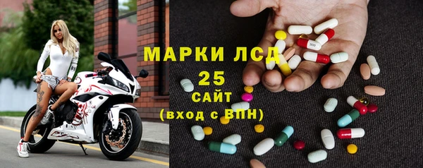 прущие грибы Костерёво