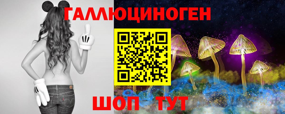 Псилоцибиновые грибы Psilocybe Новомосковск