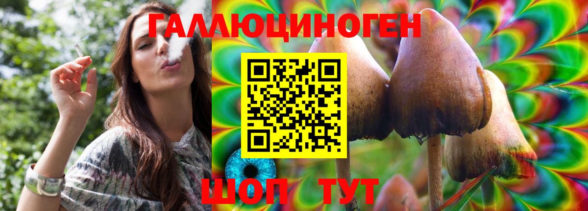 Галлюциногенные грибы MAGIC MUSHROOMS  Вход с VPN  Новомосковск 